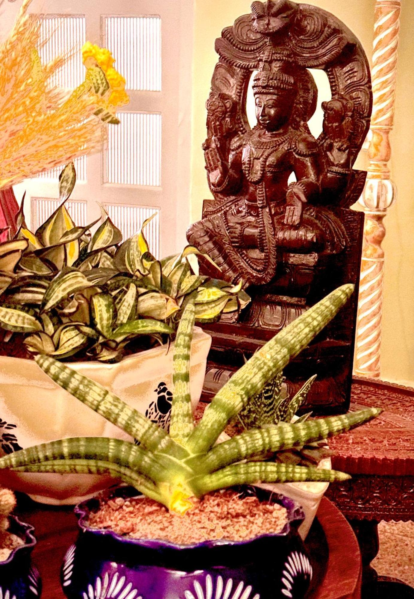 Vraj Vilas Vrindāvan Екстериор снимка